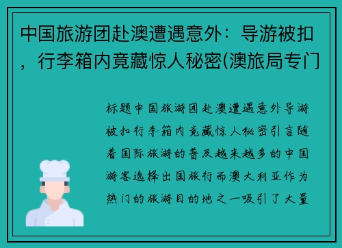 中国旅游团赴澳遭遇意外：导游被扣，行李箱内竟藏惊人秘密(澳旅局专门做了一款小程序)