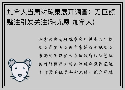加拿大当局对琼泰展开调查：刀巨额赌注引发关注(琼尤恩 加拿大)