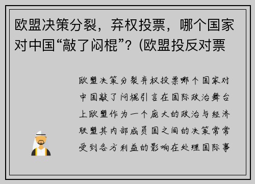 欧盟决策分裂，弃权投票，哪个国家对中国“敲了闷棍”？(欧盟投反对票)