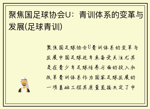 聚焦国足球协会U：青训体系的变革与发展(足球青训)